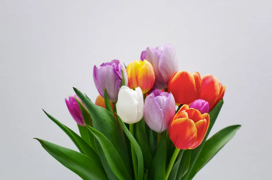 Order flowers
