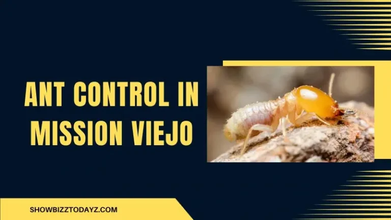 Ant Control in Mission Viejo