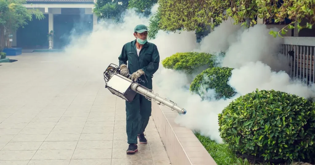 Effective Pest Control Strategies
